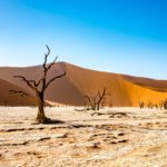 Deadvlei Desert, Namibia