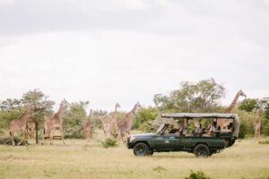 Trails of Africa Safari